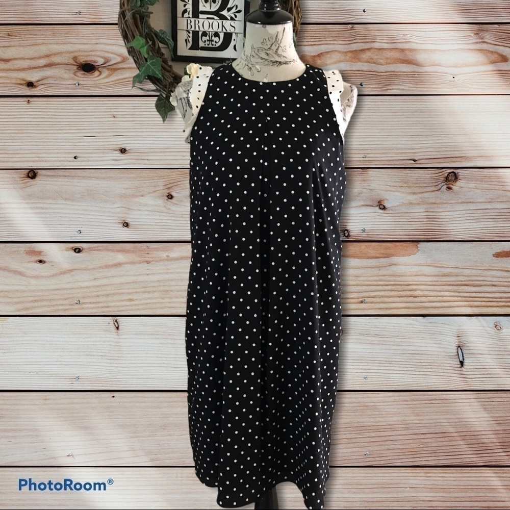 ann Taylor Polka Dot Tall Dress S Tall